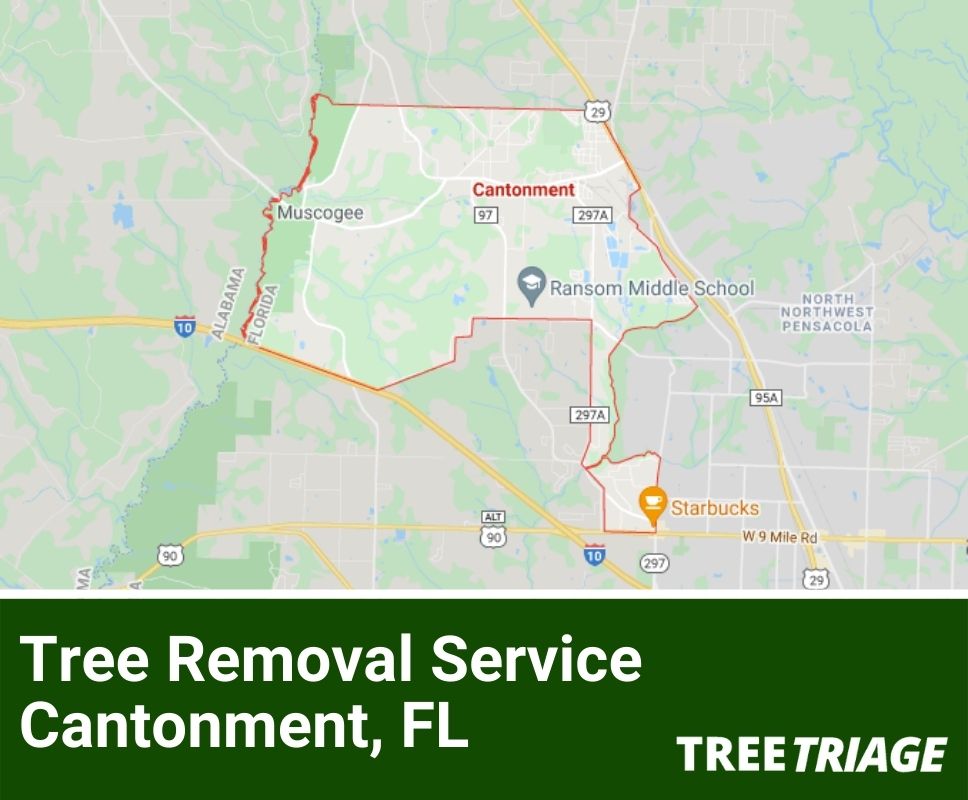 Tree Removal Service Cantonment, FL-1