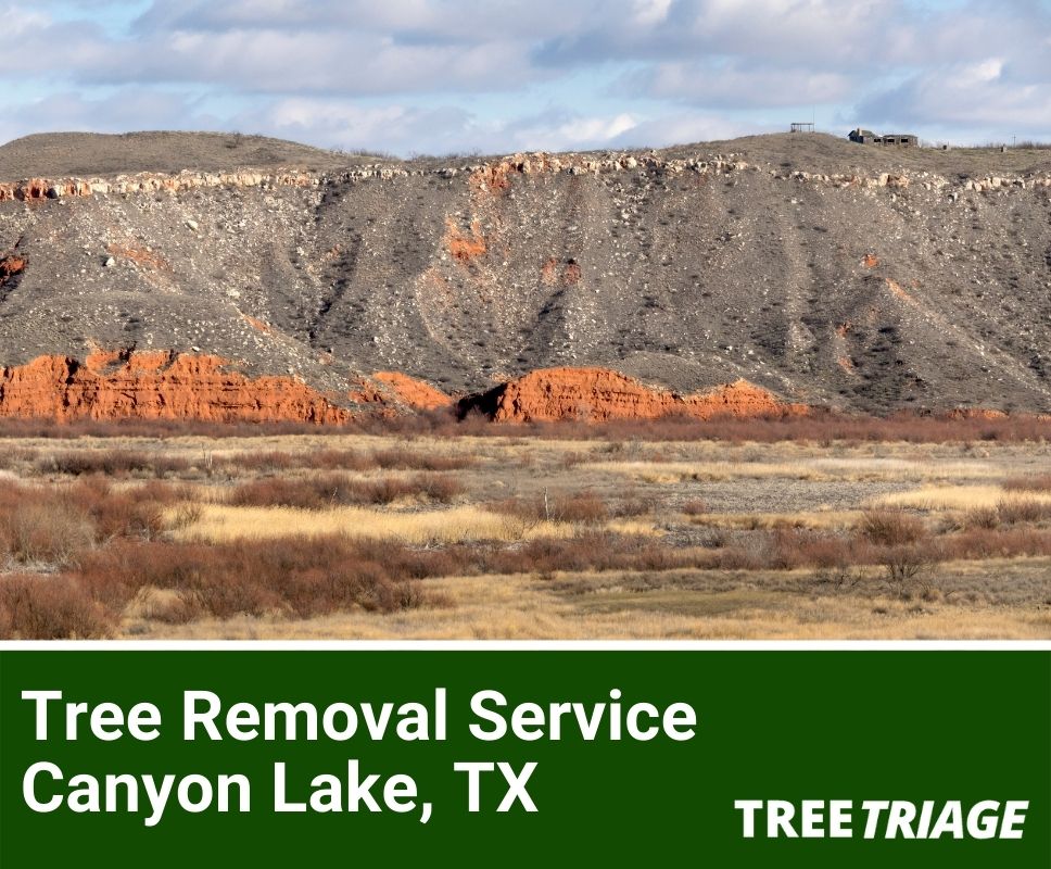 Tree Removal Service Canyon Lake, TX-1