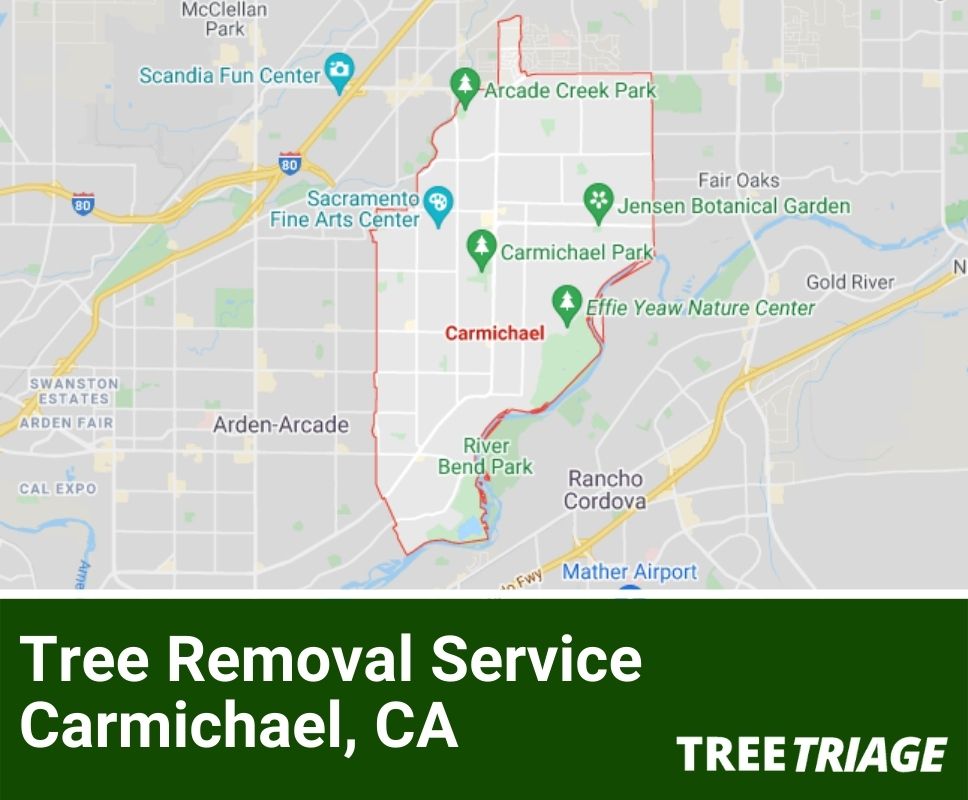Tree Removal Service Carmichael, CA-1