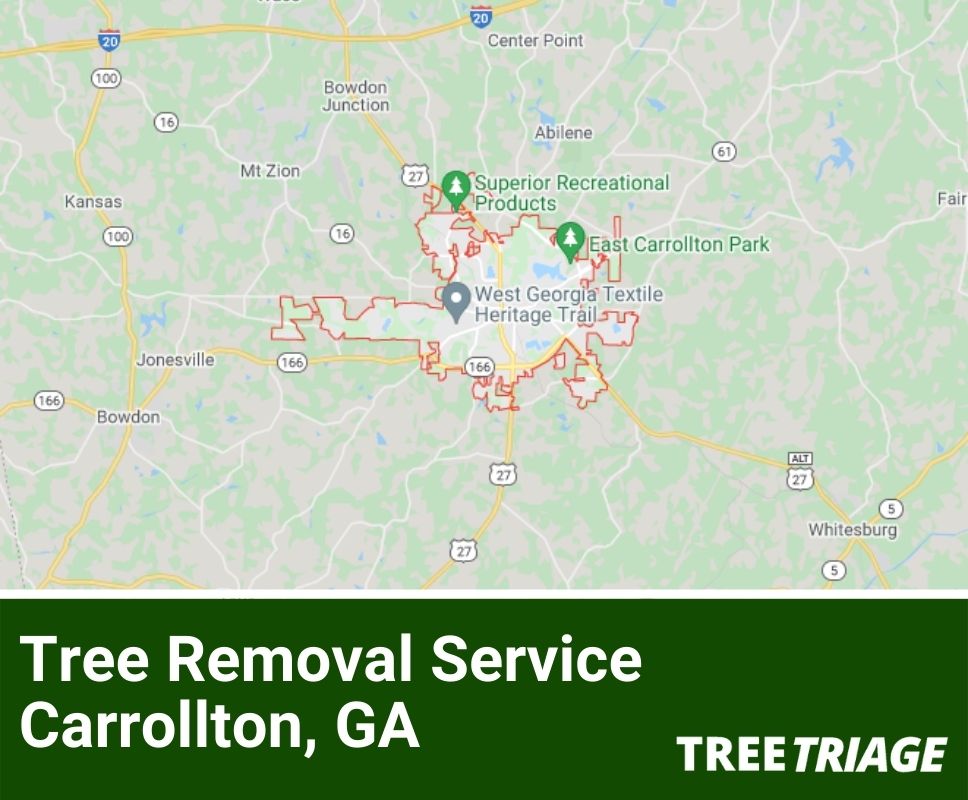 Tree Removal Service Carrollton, GA-1