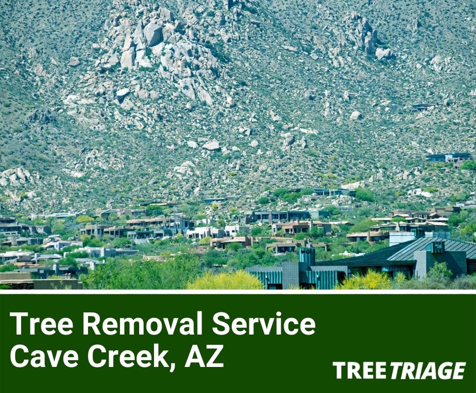 Tree Removal Service Cave Creek, AZ-1