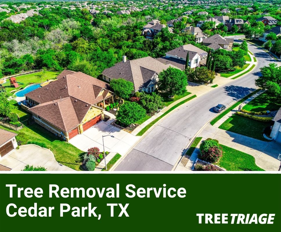 Tree Removal Service Cedar Park, TX-1(1)
