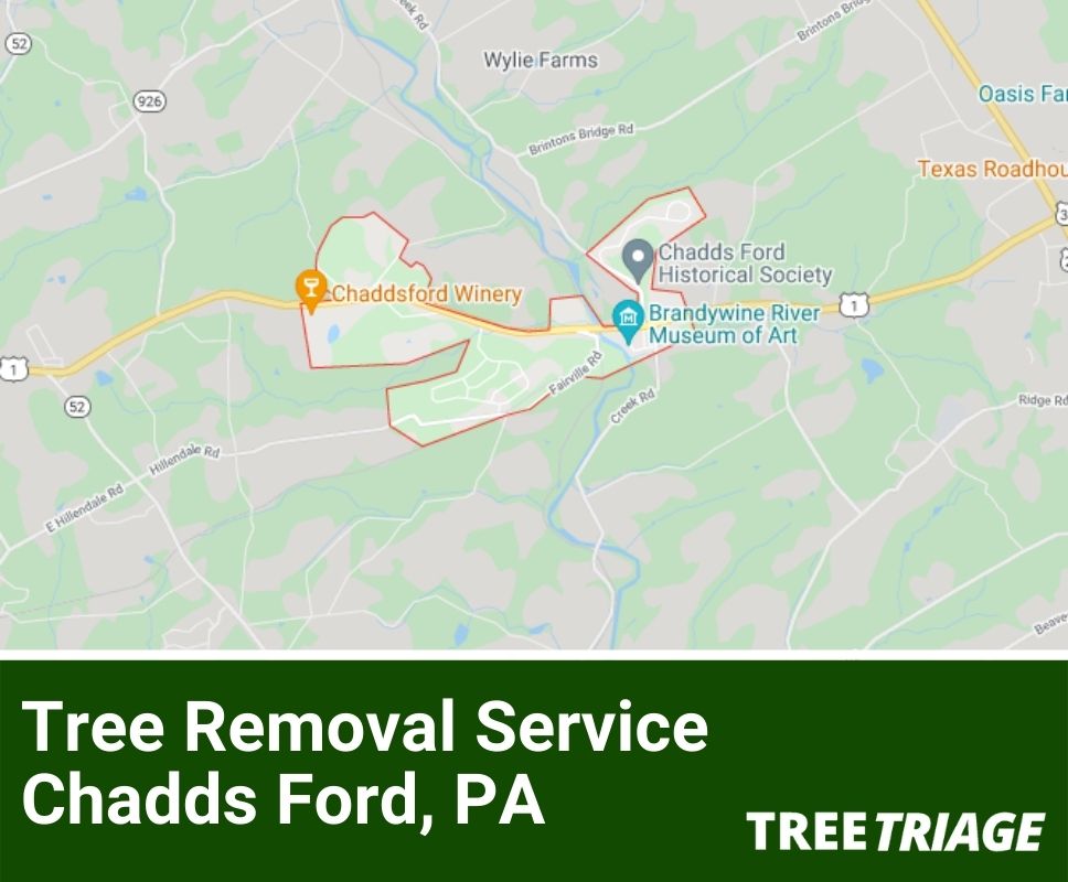 Tree Removal Service Chadds Ford, PA-1