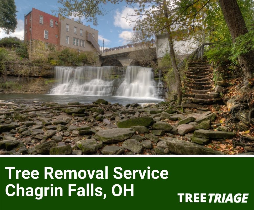 Tree Removal Service Chagrin Falls, OH-1(1)