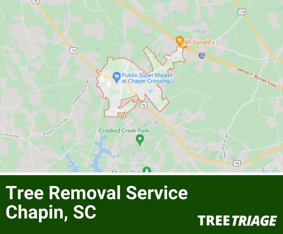 Tree Removal Service Chapin, SC-1(1)