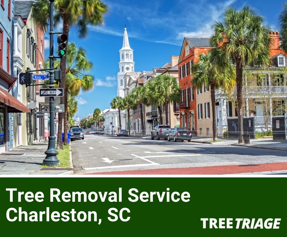 Tree Removal Service Charleston, SC-1