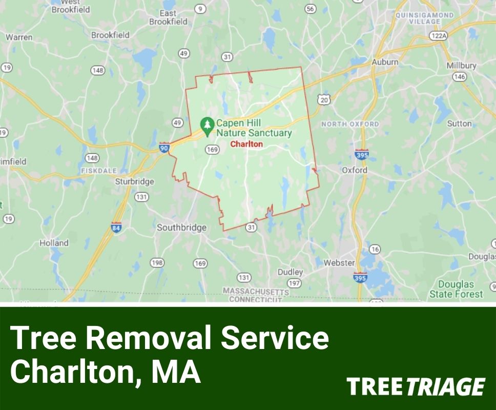 Tree Removal Service Charlton, MA-1