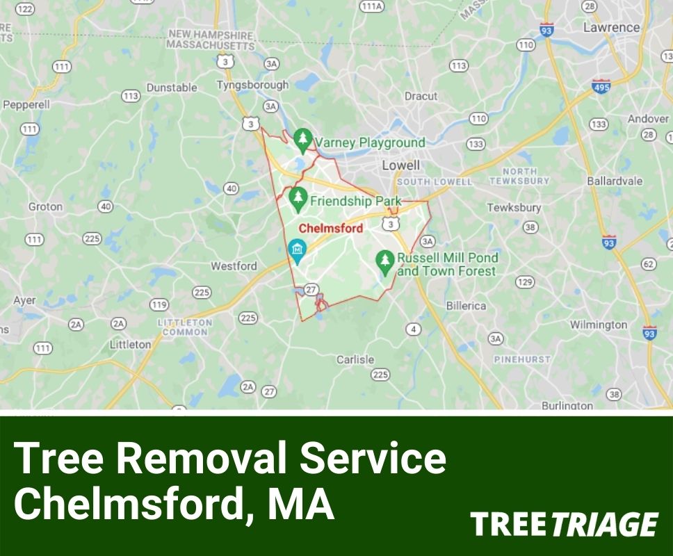 Tree Removal Service Chelmsford, MA-1