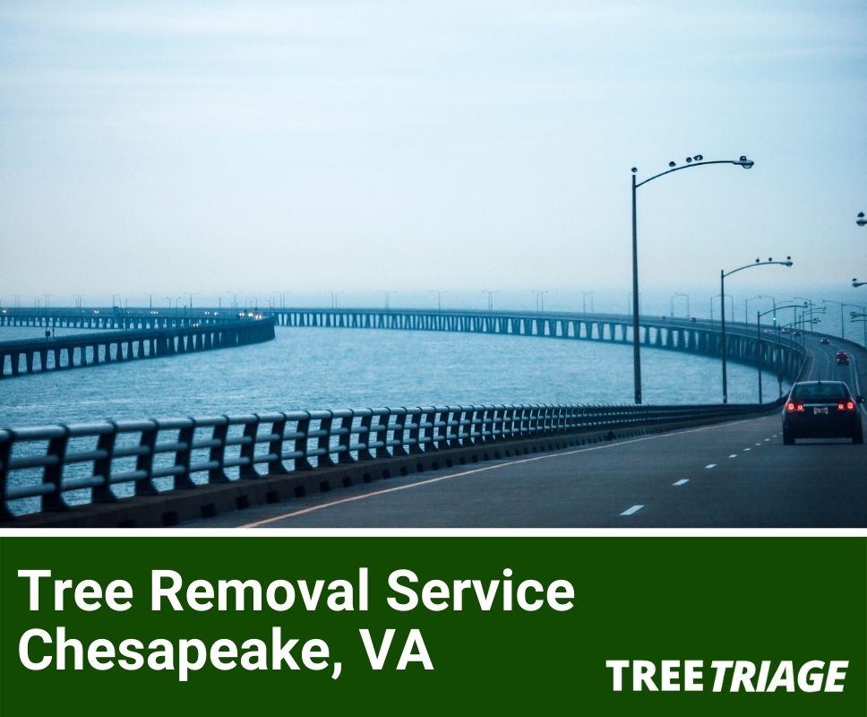Tree Removal Service Chesapeake, VA-1