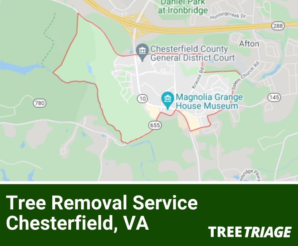 Tree Removal Service Chesterfield, VA-1