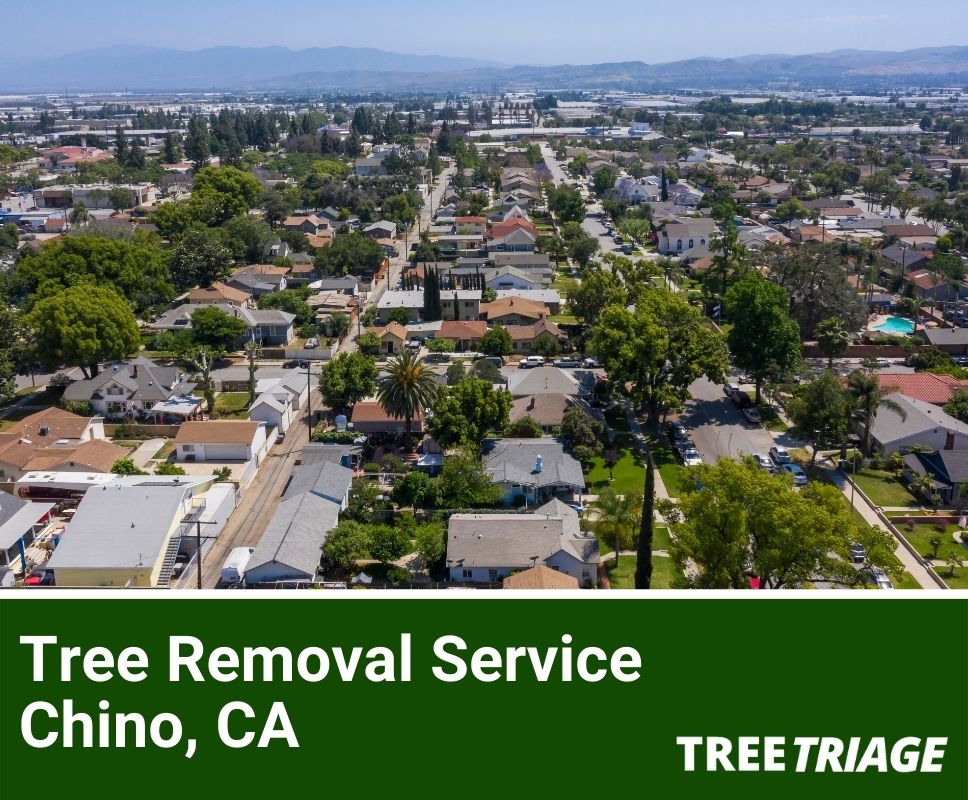 Tree Removal Service Chino, CA-1Tree Removal Service Chino, CA-1Tree Removal Service Chino, CA-1