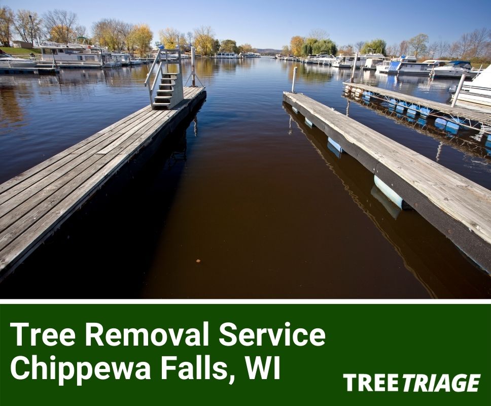 Tree Removal Service Chippewa Falls, WI-1