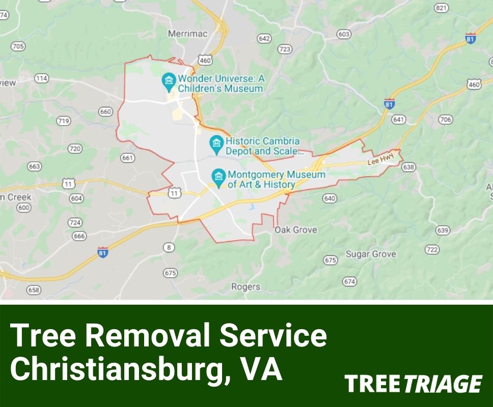 Tree Removal Service Christiansburg, VA-1