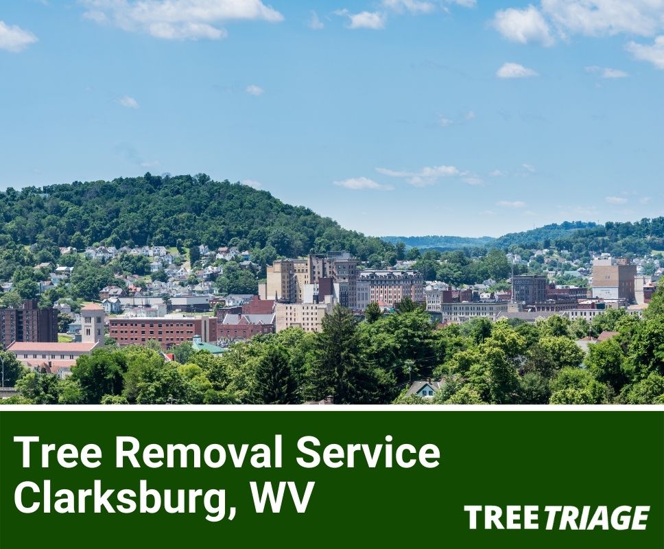 Tree Removal Service Clarksburg, WV-2