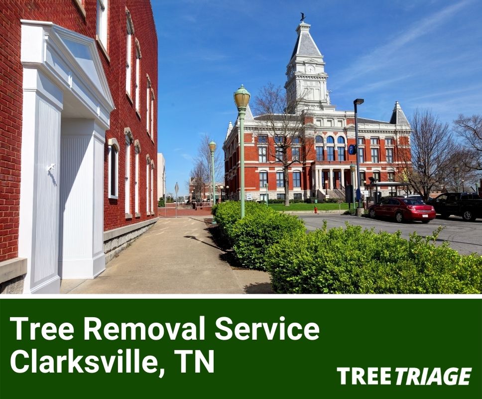 Tree Removal Service Clarksville, TN-2