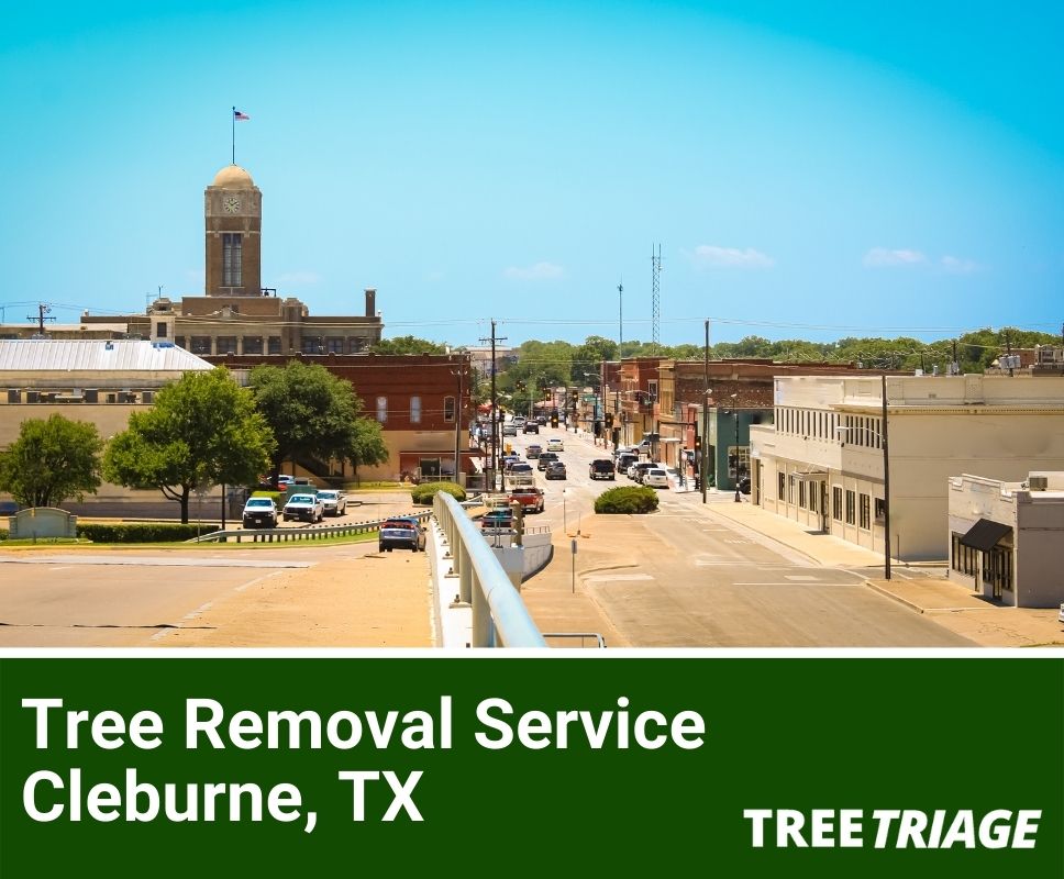 Tree Removal Service Cleburne, TX-1