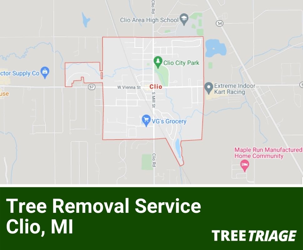 Tree Removal Service Clio, MI-1(1)