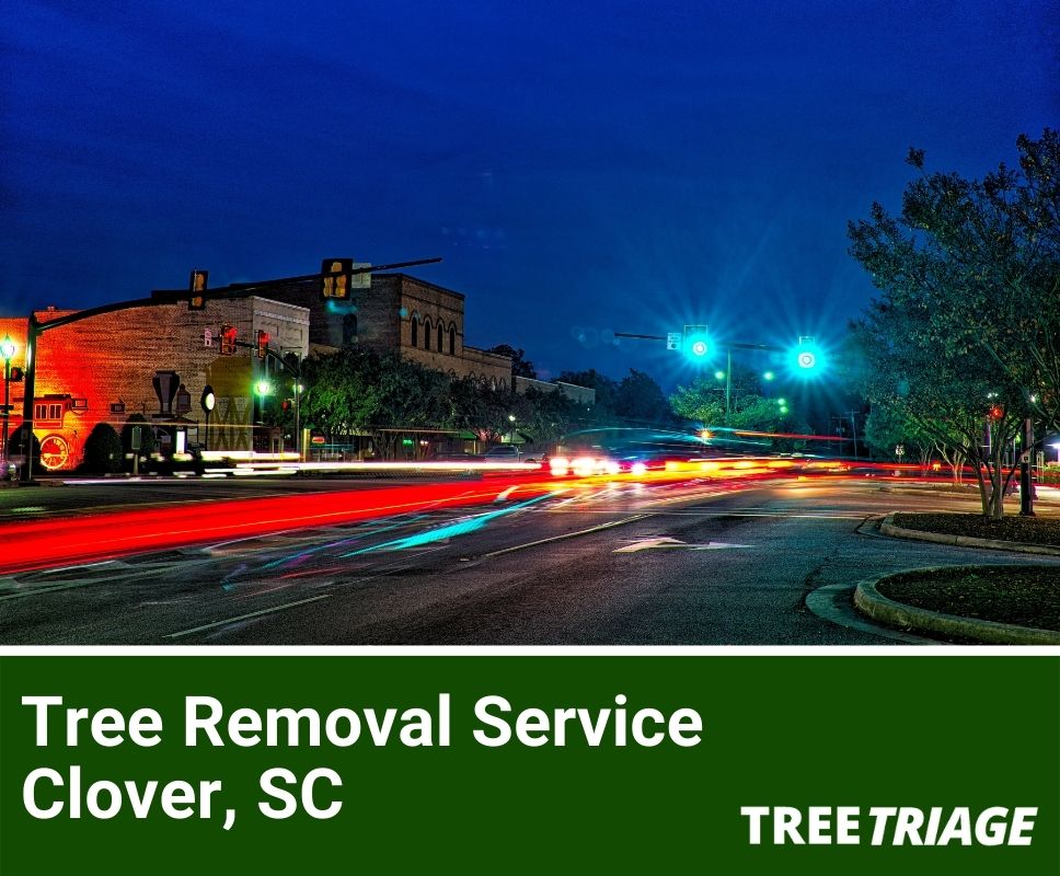 Tree Removal Service Clover, SC-1