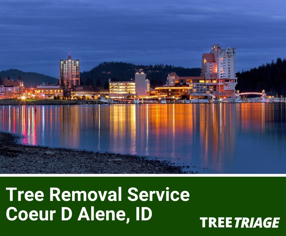 Tree Removal Service Coeur D Alene, ID-1