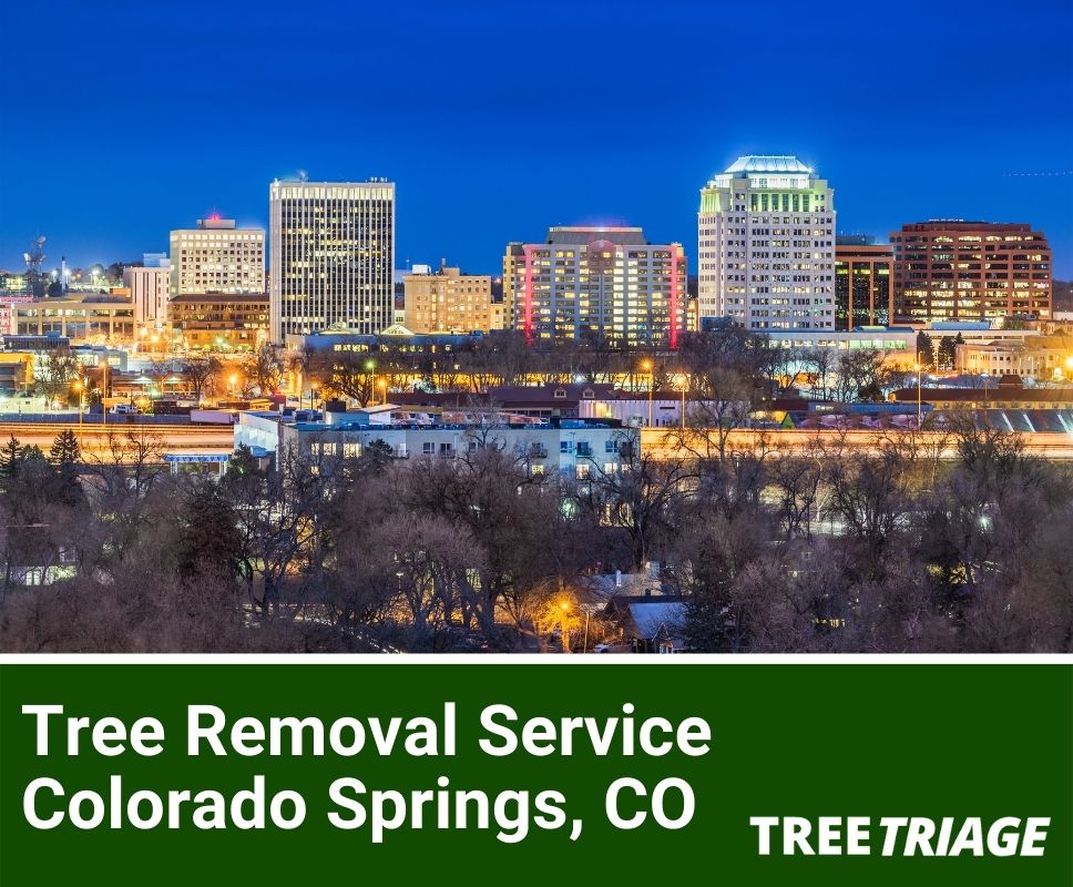 Tree Removal Service Colorado Springs, CO-1