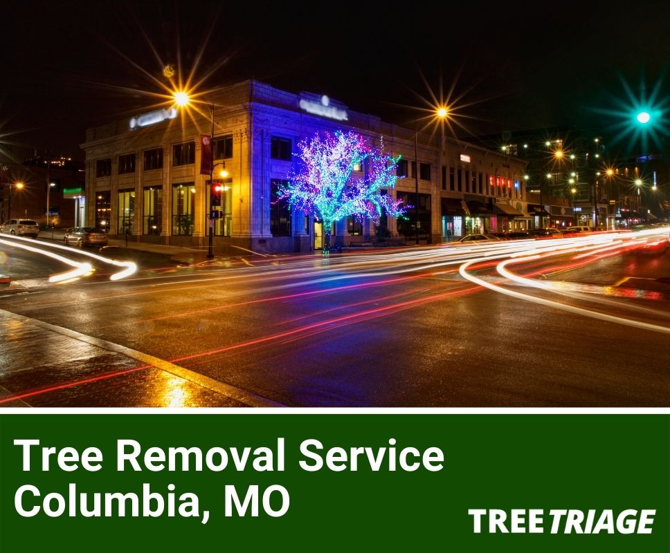 Tree Removal Service Columbia, MO-1