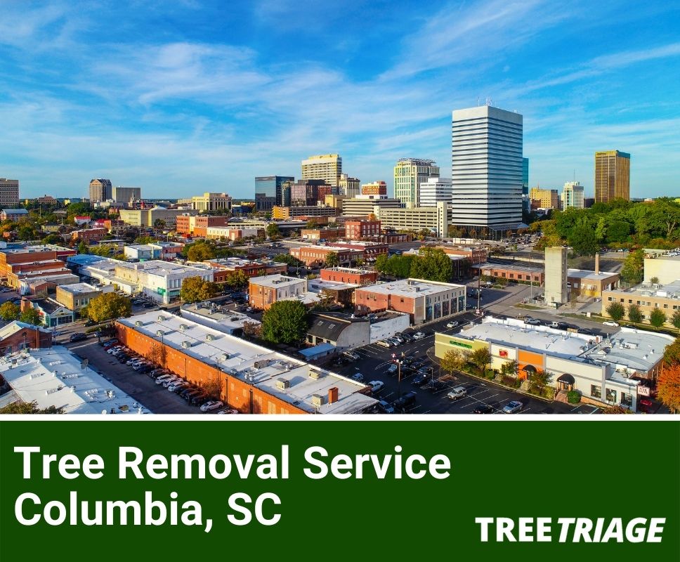 Tree Removal Service Columbia, SC-1