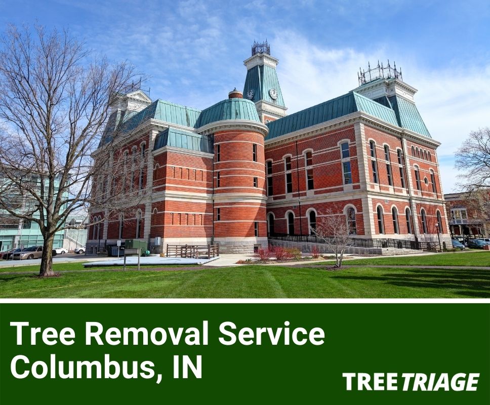 Tree Removal Service Columbus, IN-1