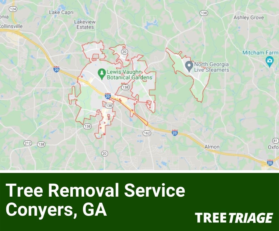 Tree Removal Service Conyers, GA-1