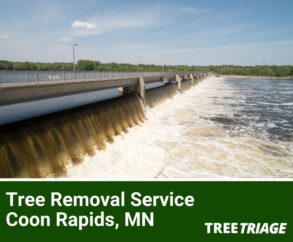 Tree Removal Service Coon Rapids, MN-1(1)