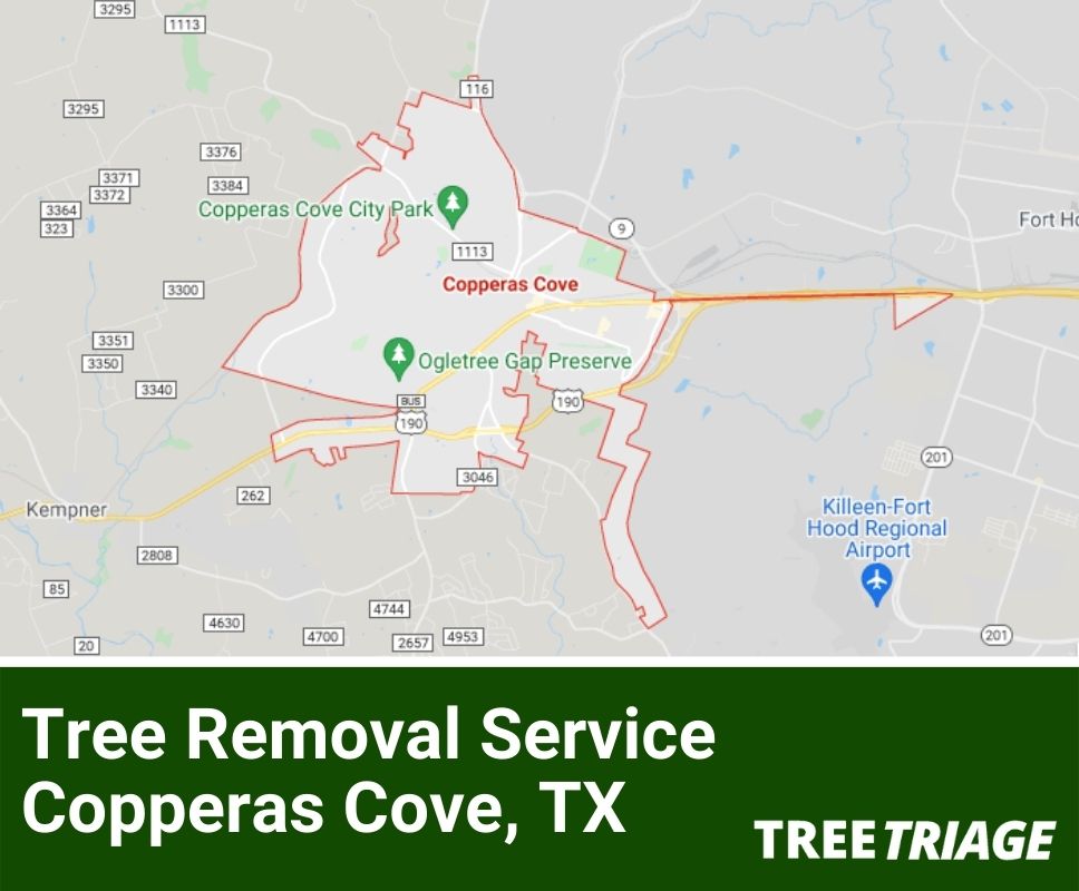 Tree Removal Service Copperas Cove, TX-1