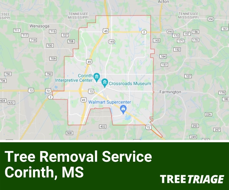 Tree Removal Service Corinth, MS-1