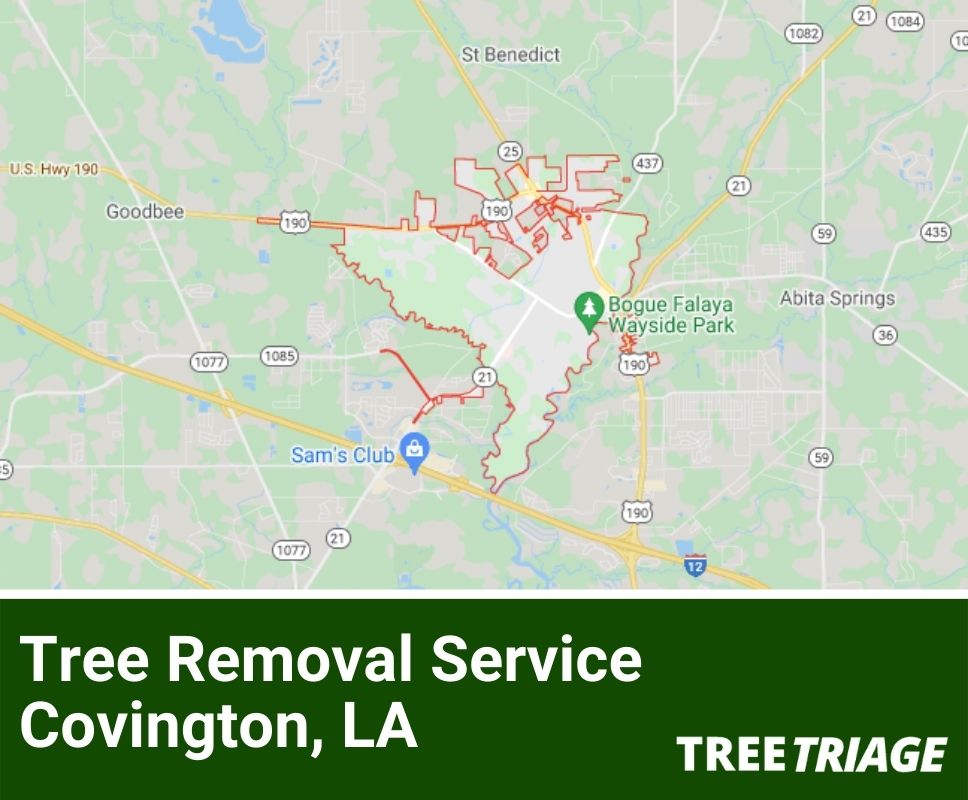 Tree Removal Service Covington, LA-1