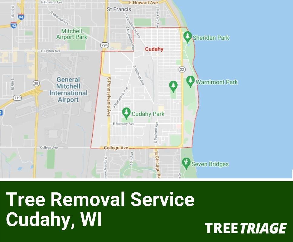 Tree Removal Service Cudahy, WI-1