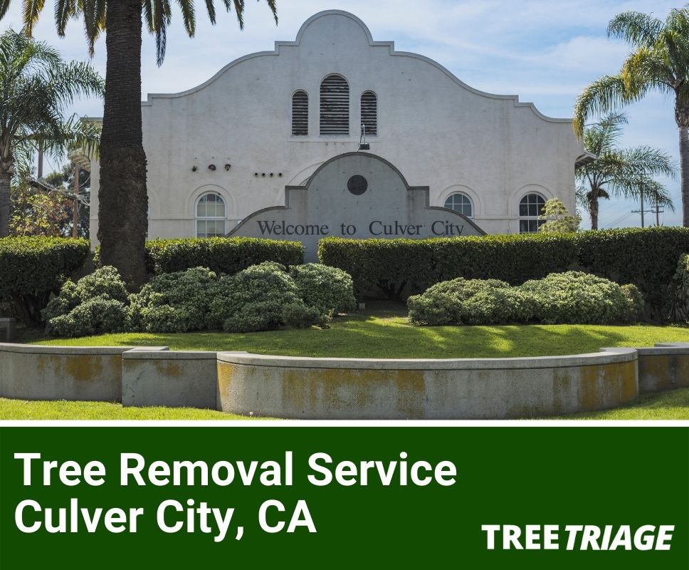 Tree Removal Service Culver City, CA-1