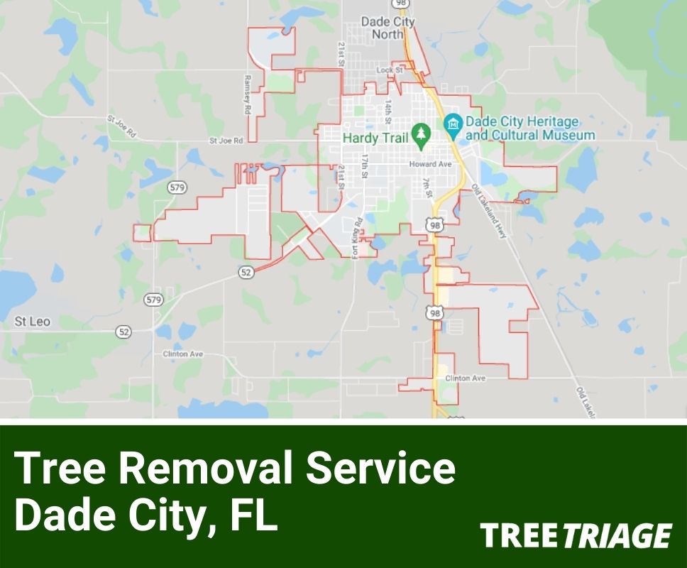 Tree Removal Service Dade City, FL-1