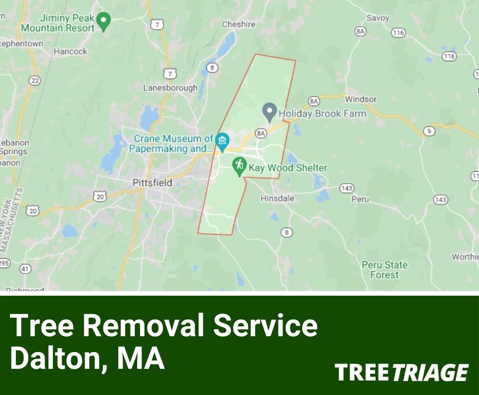Tree Removal Service Dalton, MA-1