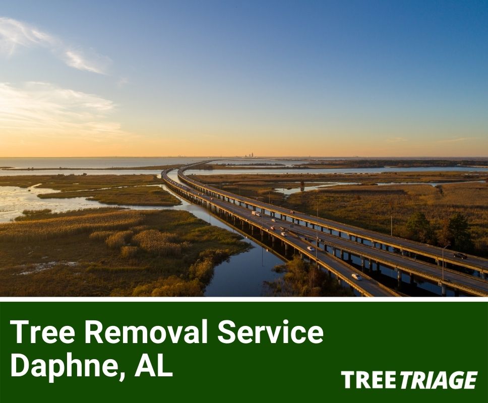 Tree Removal Service Daphne, AL-1