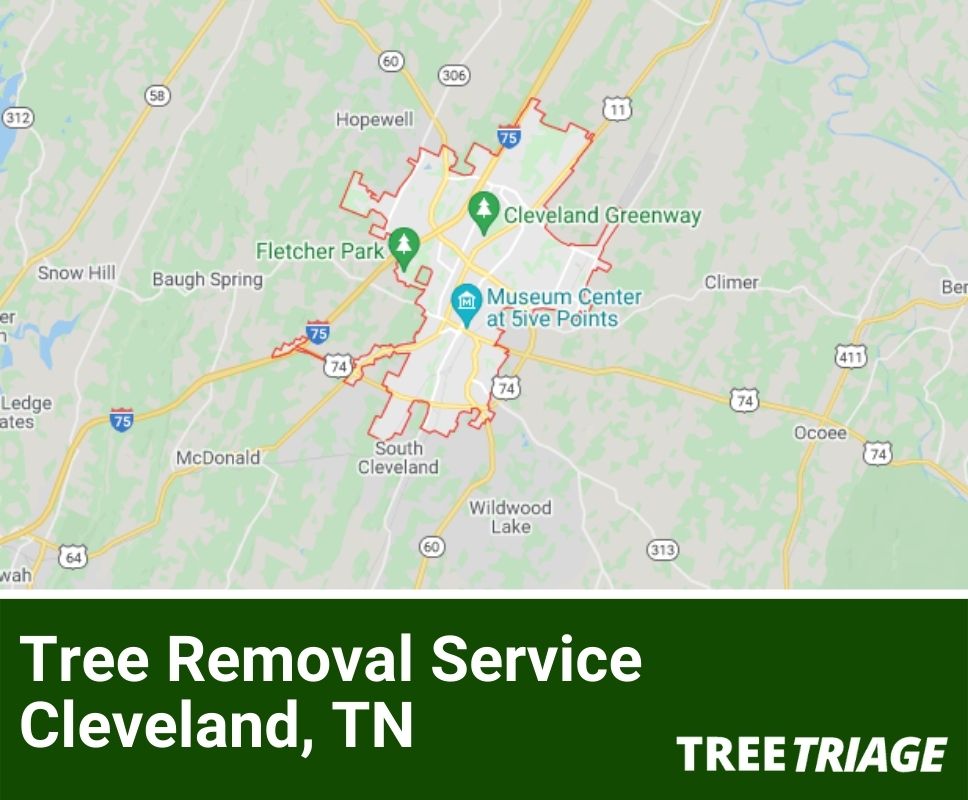 Tree Removal ServiceCleveland, TN-1