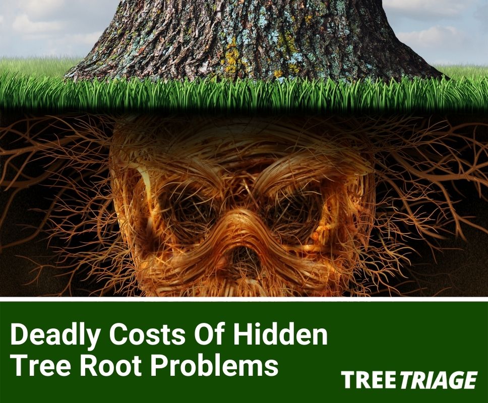 Deadly Costs Of Hidden Tree Root Problems