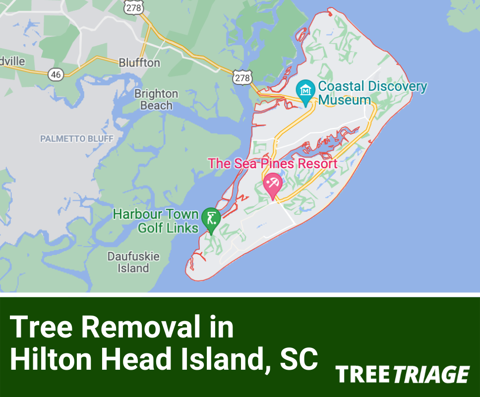 Tree Removal in Hilton Head Island, SC