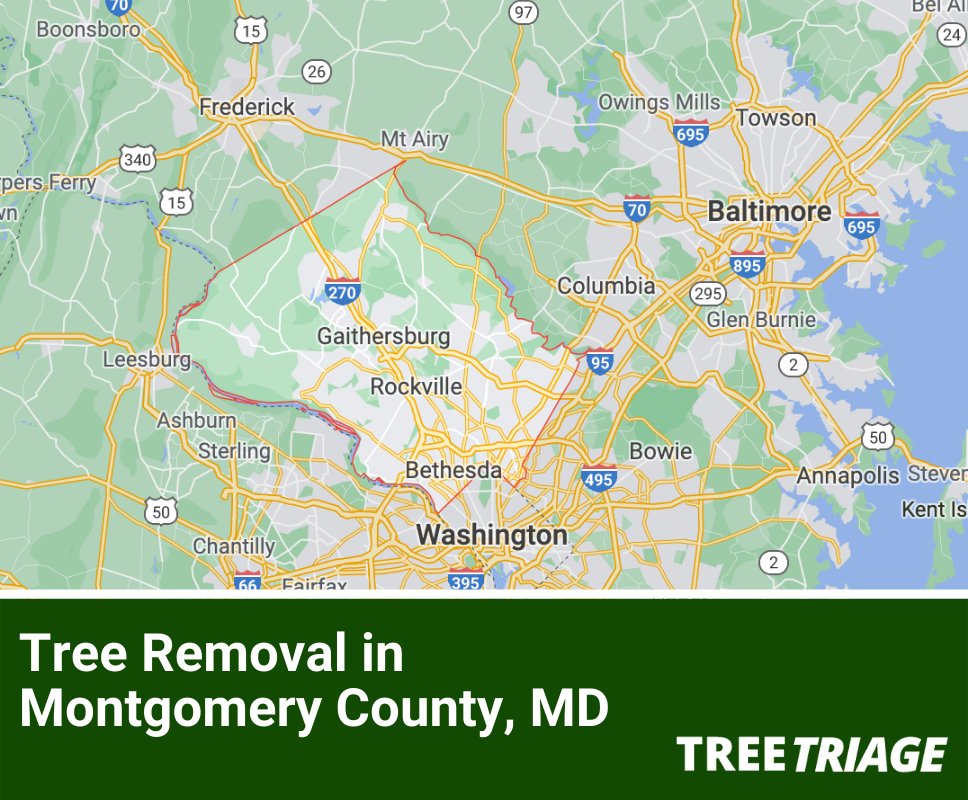 Tree Removal in Montgomery County, MD
