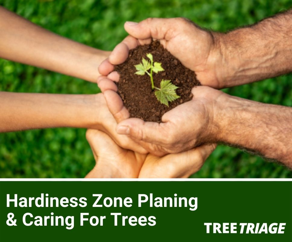 Hardiness Zone Planing & Caring For Trees