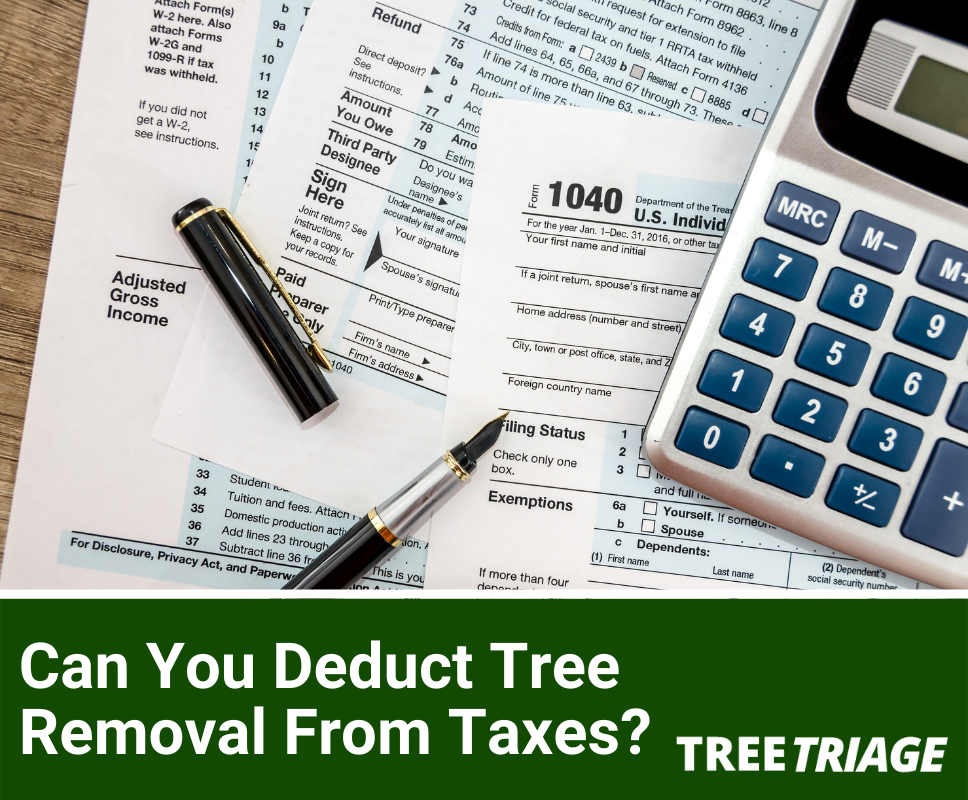 Can Tree Removal Be Deducted From Taxes?