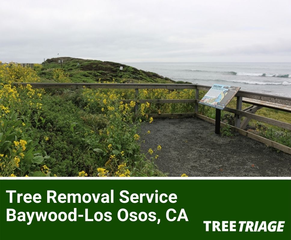 Tree Removal Service Baywood-Los Osos, CA(1)