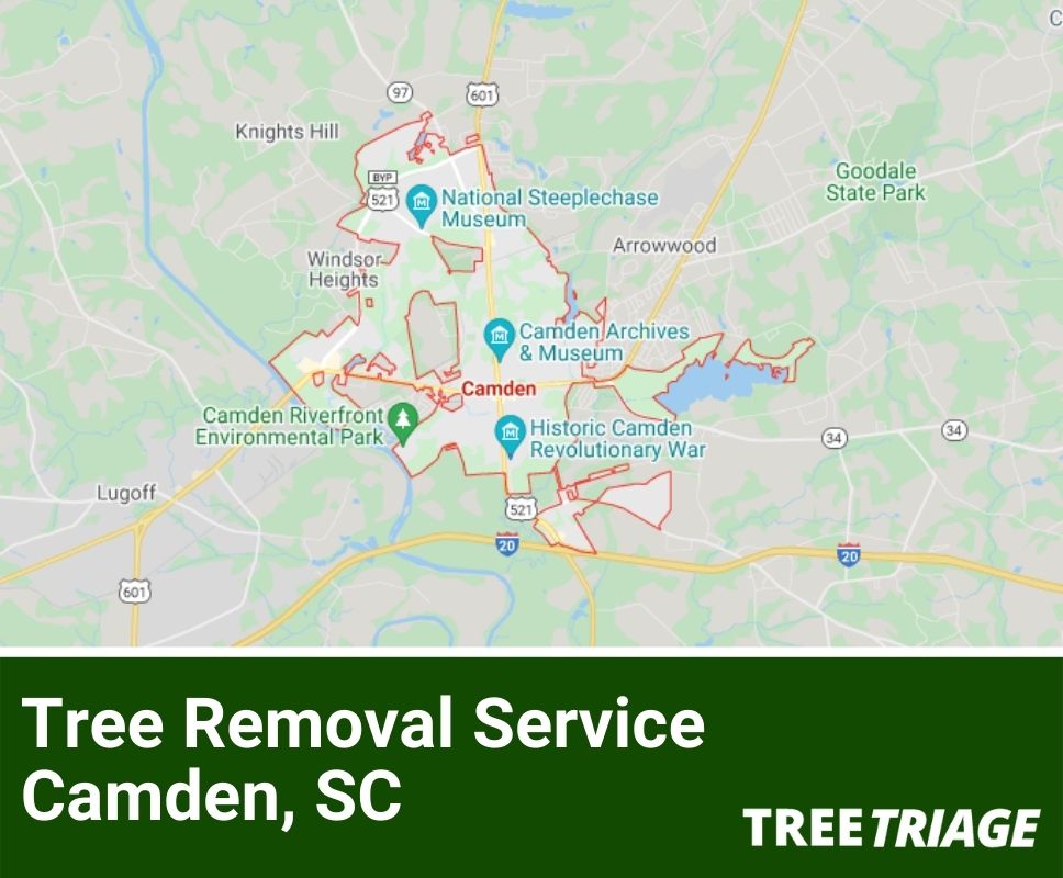 Tree Removal Service Camden, SC-1(1)