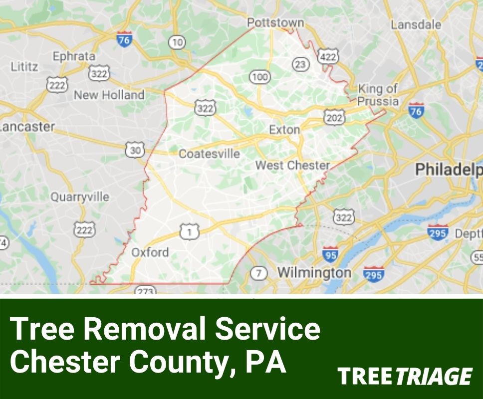 Tree Removal Service Chester County, PA-1(1)