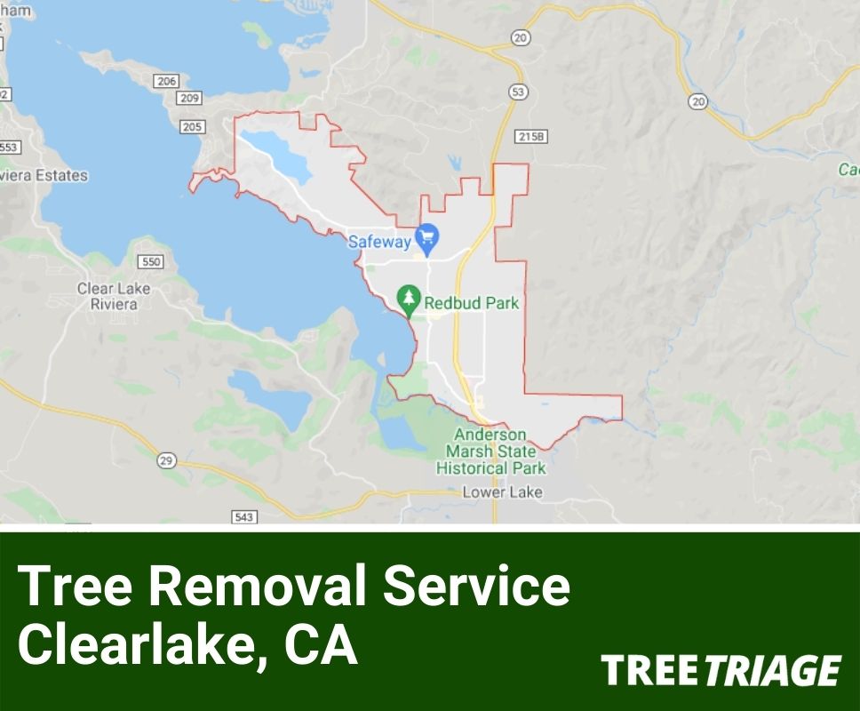 Tree Removal Service Clearlake, CA-2