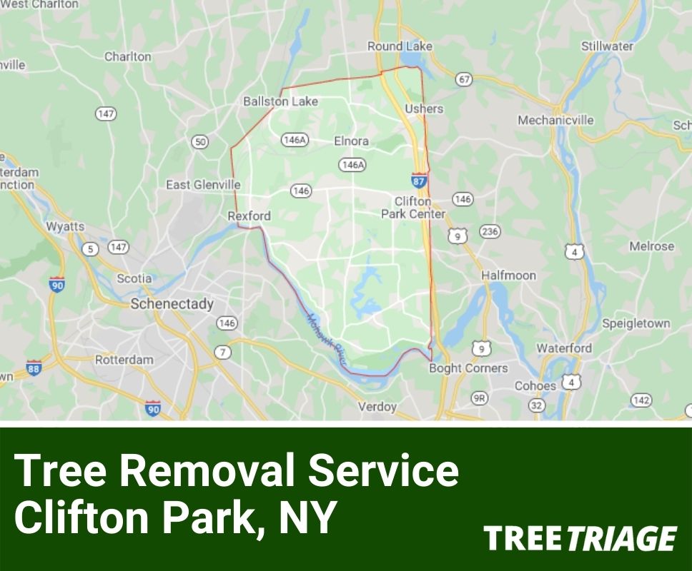 Tree Removal Service Clifton Park, NY-2