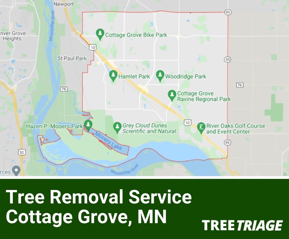Tree Removal Service Cottage Grove, MN-2