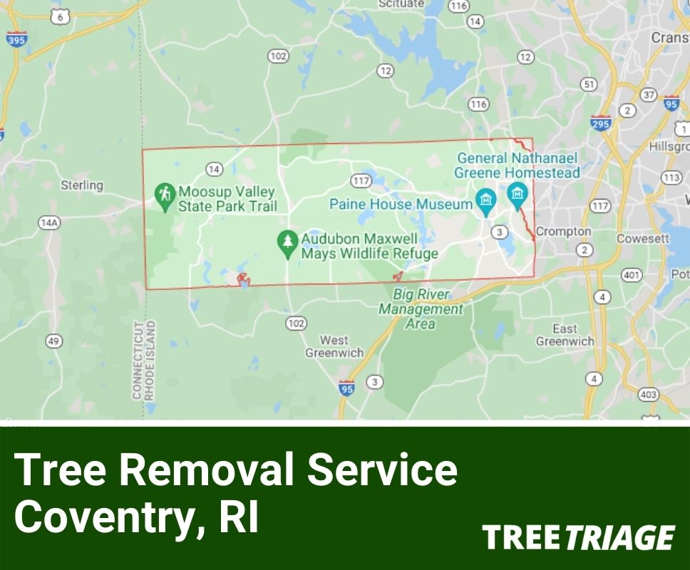 Tree Removal Service Coventry, RI-2